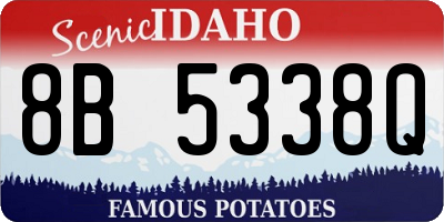 ID license plate 8B5338Q