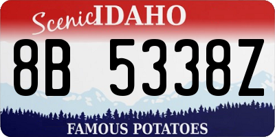 ID license plate 8B5338Z