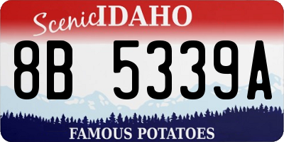 ID license plate 8B5339A
