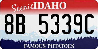 ID license plate 8B5339C