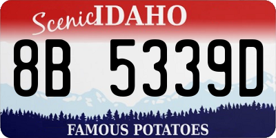 ID license plate 8B5339D