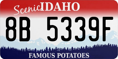 ID license plate 8B5339F