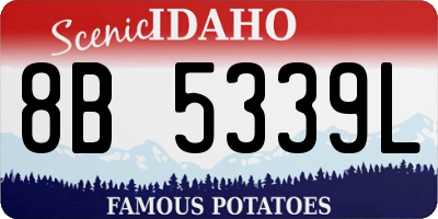 ID license plate 8B5339L
