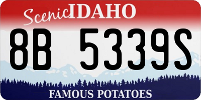 ID license plate 8B5339S
