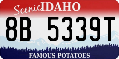 ID license plate 8B5339T