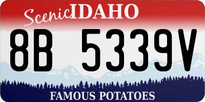 ID license plate 8B5339V