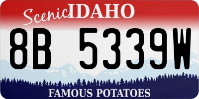 ID license plate 8B5339W