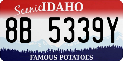 ID license plate 8B5339Y
