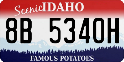ID license plate 8B5340H