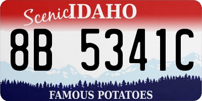 ID license plate 8B5341C