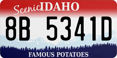 ID license plate 8B5341D