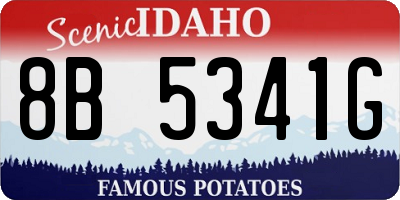 ID license plate 8B5341G