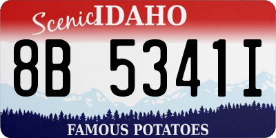 ID license plate 8B5341I