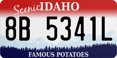 ID license plate 8B5341L