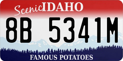 ID license plate 8B5341M