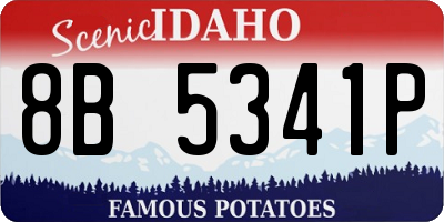 ID license plate 8B5341P