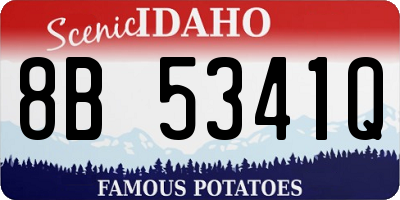 ID license plate 8B5341Q