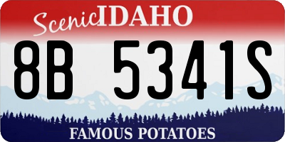 ID license plate 8B5341S