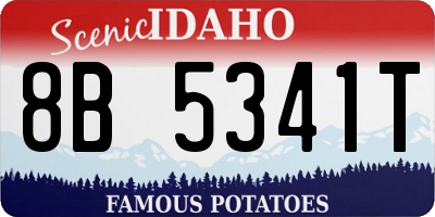 ID license plate 8B5341T