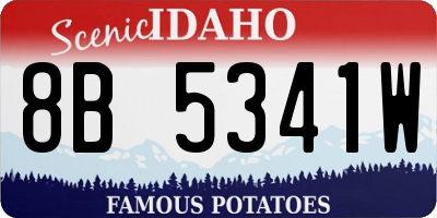 ID license plate 8B5341W