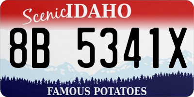 ID license plate 8B5341X