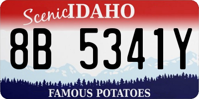 ID license plate 8B5341Y