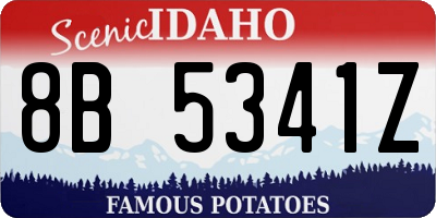 ID license plate 8B5341Z