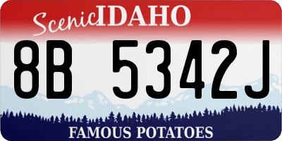 ID license plate 8B5342J