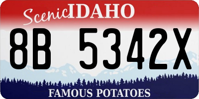 ID license plate 8B5342X