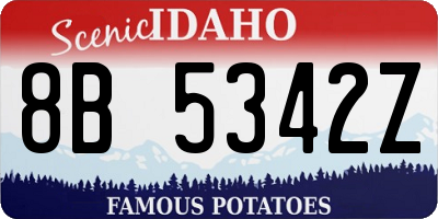 ID license plate 8B5342Z