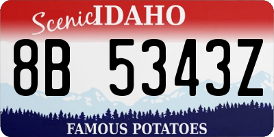 ID license plate 8B5343Z