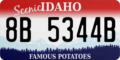 ID license plate 8B5344B