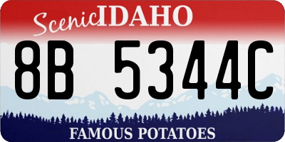 ID license plate 8B5344C