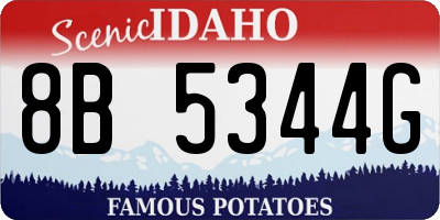 ID license plate 8B5344G