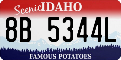 ID license plate 8B5344L
