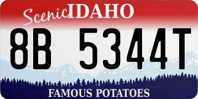 ID license plate 8B5344T
