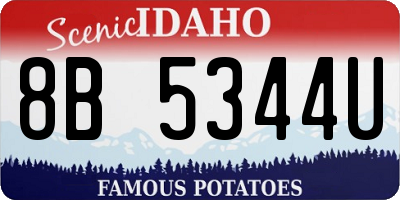ID license plate 8B5344U
