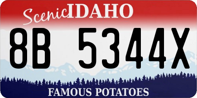 ID license plate 8B5344X