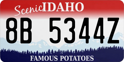 ID license plate 8B5344Z