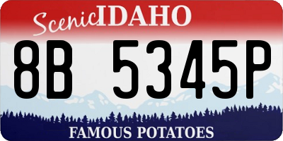 ID license plate 8B5345P