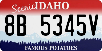 ID license plate 8B5345V