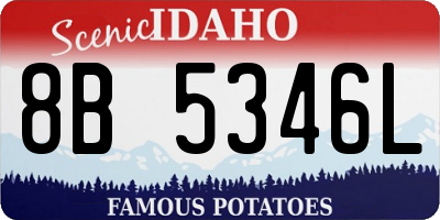 ID license plate 8B5346L
