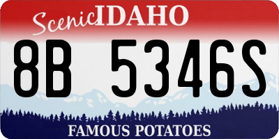 ID license plate 8B5346S