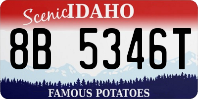 ID license plate 8B5346T