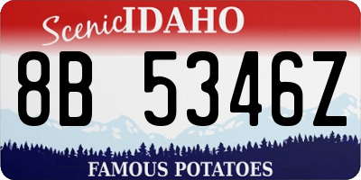 ID license plate 8B5346Z