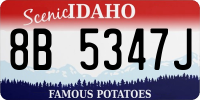 ID license plate 8B5347J
