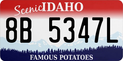 ID license plate 8B5347L