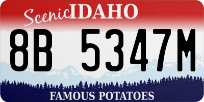 ID license plate 8B5347M