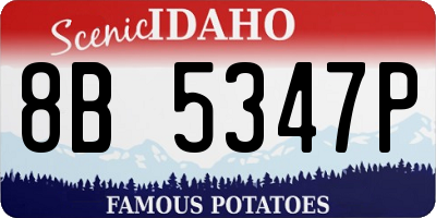 ID license plate 8B5347P