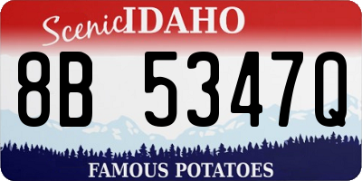 ID license plate 8B5347Q